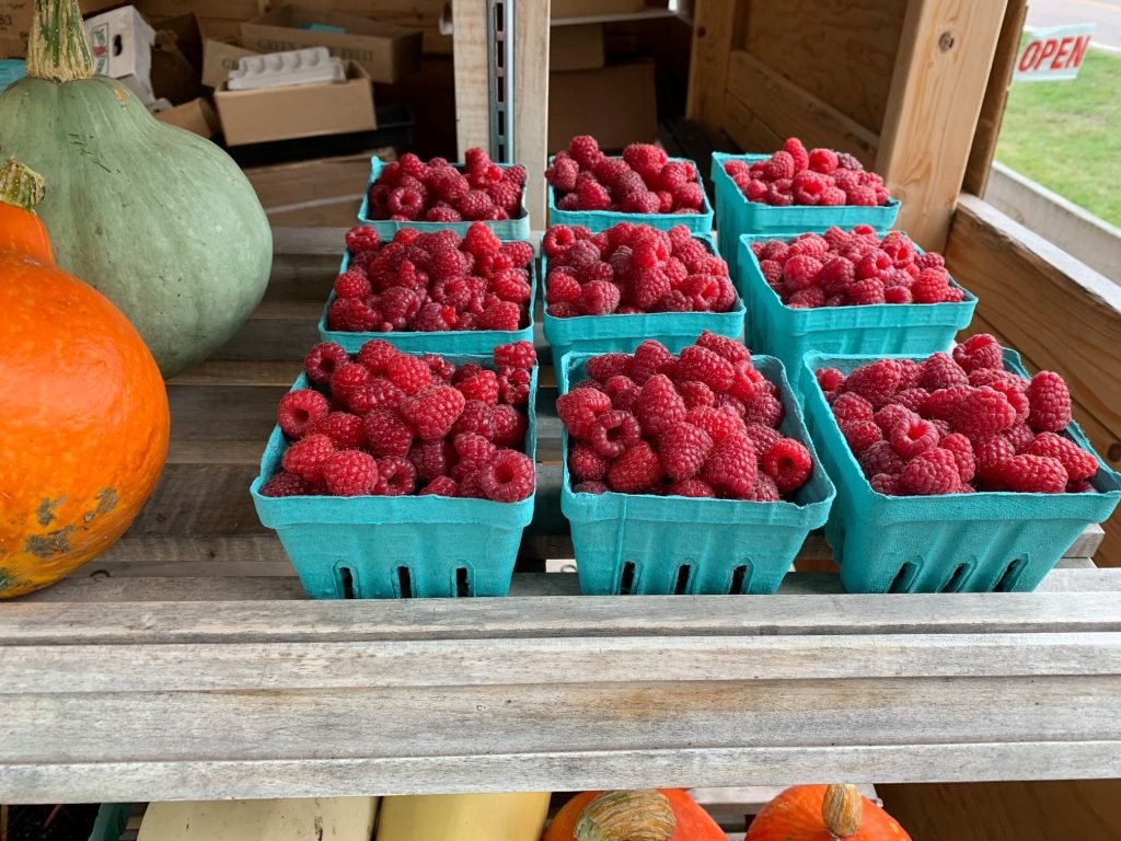 Home • Red Hen Farm &amp; Orchard
